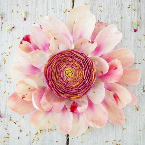 Ανακάλυψα τα πιο ανθισμένα cakes ever