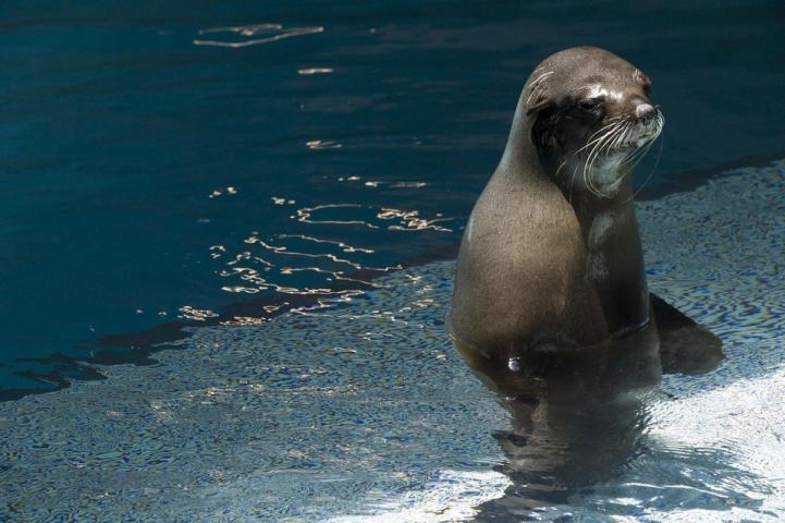 8 λόγοι για να επισκεφθείς το Dubai