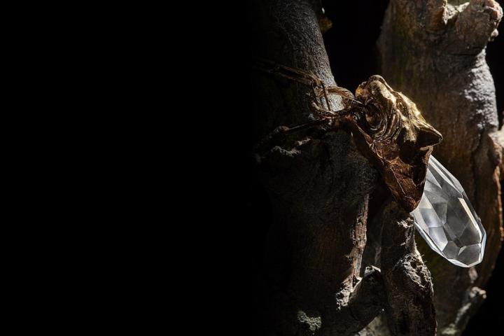 Αυτή είναι η σειρά κοσμημάτων Talisman του Οίκου Prada Αυτή είναι η σειρά κοσμημάτων Talisman του Οίκου Prada