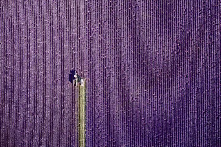 Όταν τα Drones κάνουν θαύματα - 12 βραβευμένα «κλικ» για το 2017