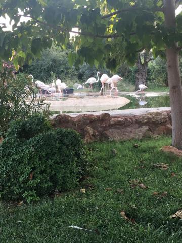 Αττικό Ζωολογικό Πάρκο : Μία φανταστική εμπειρία για μικρούς και μεγάλους