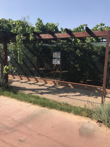 Αττικό Ζωολογικό Πάρκο : Μία φανταστική εμπειρία για μικρούς και μεγάλους