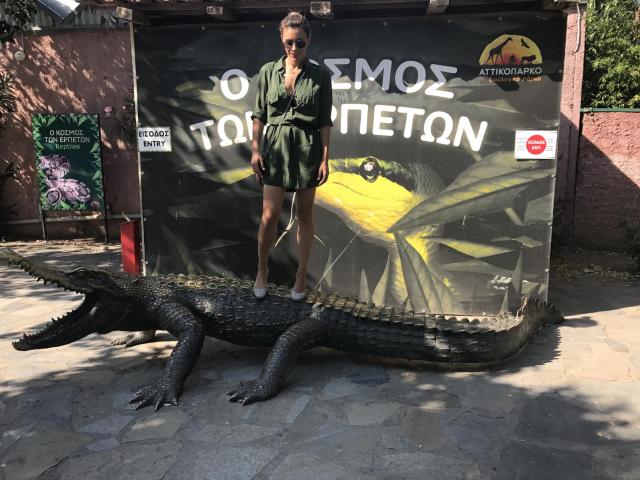 Αττικό Ζωολογικό Πάρκο : Μία φανταστική εμπειρία για μικρούς και μεγάλους