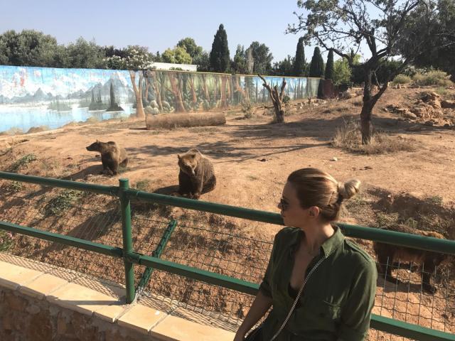 Αττικό Ζωολογικό Πάρκο : Μία φανταστική εμπειρία για μικρούς και μεγάλους