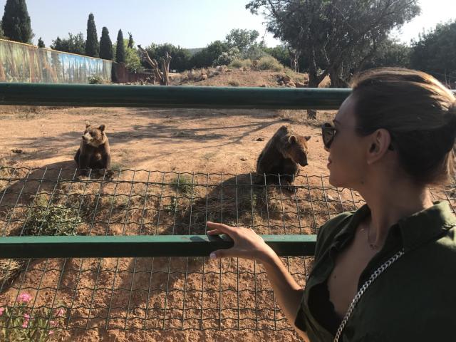 Αττικό Ζωολογικό Πάρκο : Μία φανταστική εμπειρία για μικρούς και μεγάλους