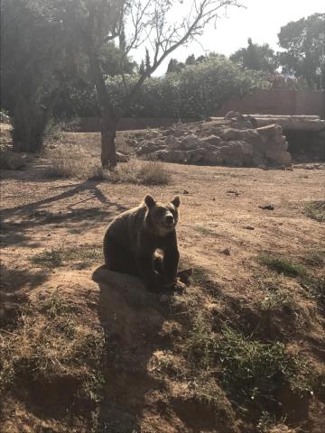 Αττικό Ζωολογικό Πάρκο : Μία φανταστική εμπειρία για μικρούς και μεγάλους