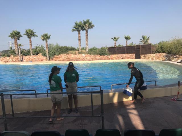 Αττικό Ζωολογικό Πάρκο : Μία φανταστική εμπειρία για μικρούς και μεγάλους