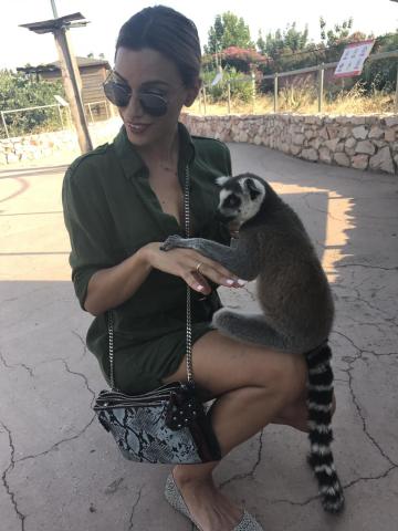 Αττικό Ζωολογικό Πάρκο : Μία φανταστική εμπειρία για μικρούς και μεγάλους