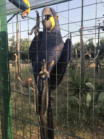 Αττικό Ζωολογικό Πάρκο : Μία φανταστική εμπειρία για μικρούς και μεγάλους