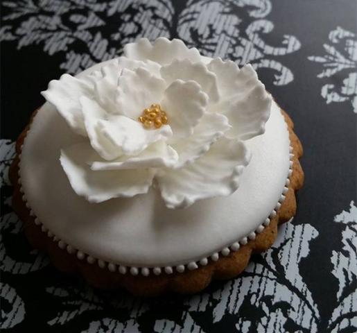 I can't believe it's cookie! Ένα μπισκότο διαφορετικό από τα άλλα I can't believe it's cookie! Ένα μπισκότο διαφορετικό από τα άλλα