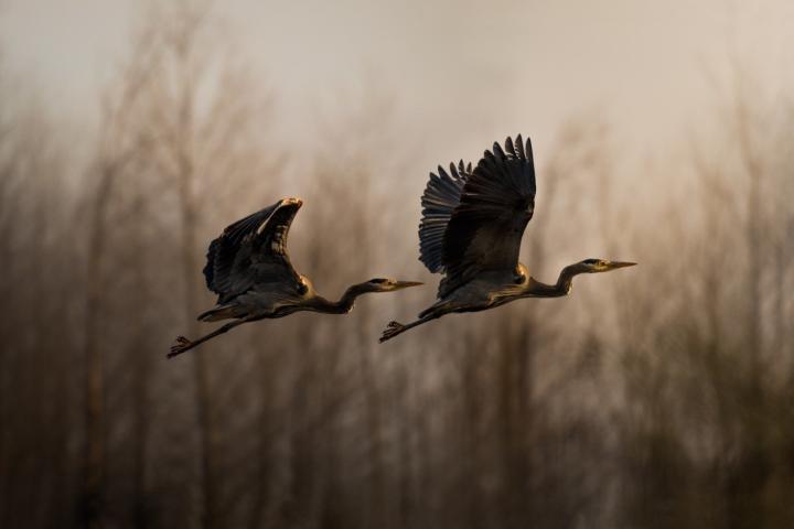 Στην τελική ευθεία ο Διαγωνισμός Φωτογραφίας της EyeEm Στην τελική ευθεία ο Διαγωνισμός Φωτογραφίας της EyeEm