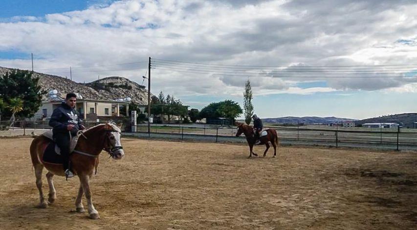 «Δράση στο Δρόμο»