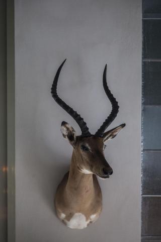 Meerkat: To new entry που αξίζει να επισκεφθείς χωρίς δεύτερη σκέψη Meerkat: To new entry που αξίζει να επισκεφθείς χωρίς δεύτερη σκέψη