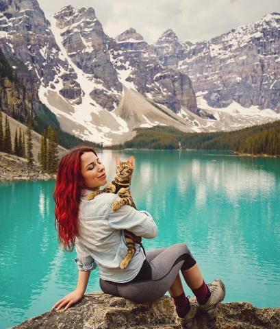 Η πιο διάσημη γάτα του κόσμου ζει καλύτερα από εσένα Η πιο διάσημη γάτα του κόσμου ζει καλύτερα από εσένα