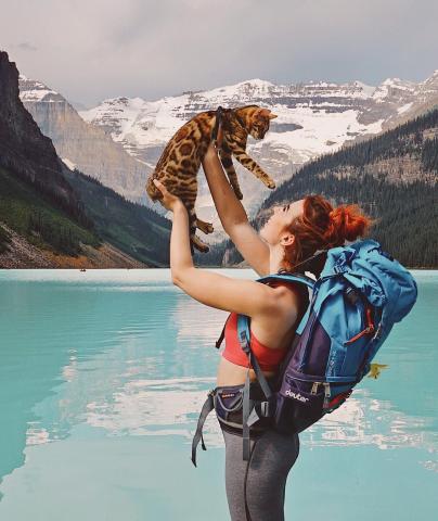 Η πιο διάσημη γάτα του κόσμου ζει καλύτερα από εσένα Η πιο διάσημη γάτα του κόσμου ζει καλύτερα από εσένα