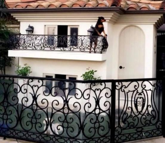 Το σπίτι των σκύλων της Paris Hilton έχεις κάθε λόγο να το ζηλεύεις