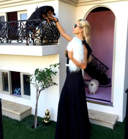 Το σπίτι των σκύλων της Paris Hilton έχεις κάθε λόγο να το ζηλεύεις