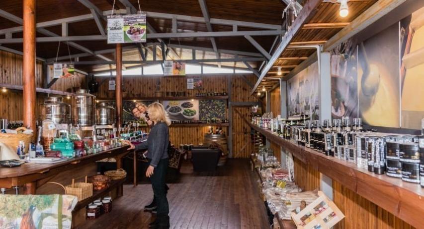 Φραγκοελιά πάνω από 800 χρόνων στο κτήμα Σοφοκλέους Φραγκοελιά πάνω από 800 χρόνων στο κτήμα Σοφοκλέους