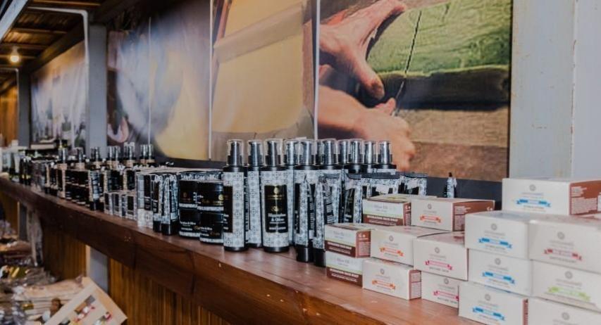 Φραγκοελιά πάνω από 800 χρόνων στο κτήμα Σοφοκλέους Φραγκοελιά πάνω από 800 χρόνων στο κτήμα Σοφοκλέους