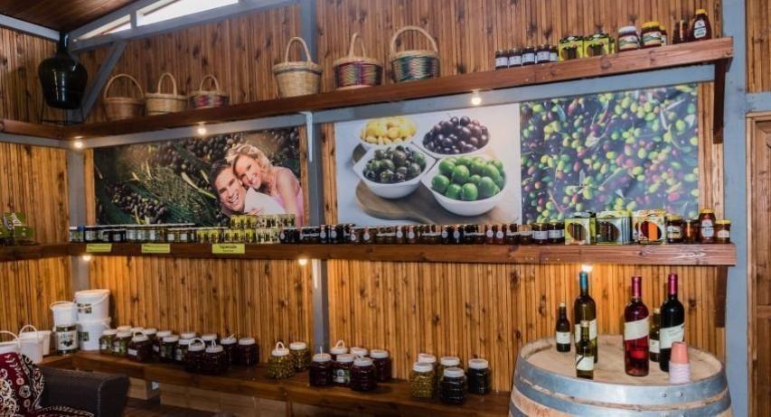 Φραγκοελιά πάνω από 800 χρόνων στο κτήμα Σοφοκλέους Φραγκοελιά πάνω από 800 χρόνων στο κτήμα Σοφοκλέους