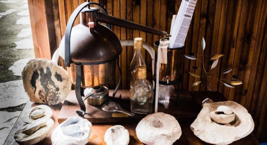 Φραγκοελιά πάνω από 800 χρόνων στο κτήμα Σοφοκλέους Φραγκοελιά πάνω από 800 χρόνων στο κτήμα Σοφοκλέους