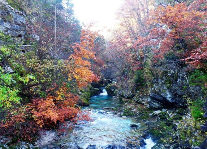 Αν δεν γνωρίζετε τη λίμνη Bled στη Σλοβενία, ήρθε ο καιρός να την μάθετε γιατί είναι πανέμορφη!