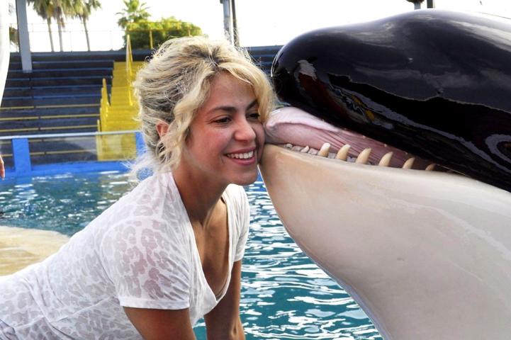 10 φορές που η Shakira εντυπωσίασε χωρίς ίχνος μακιγιάζ 10 φορές που η Shakira εντυπωσίασε χωρίς ίχνος μακιγιάζ