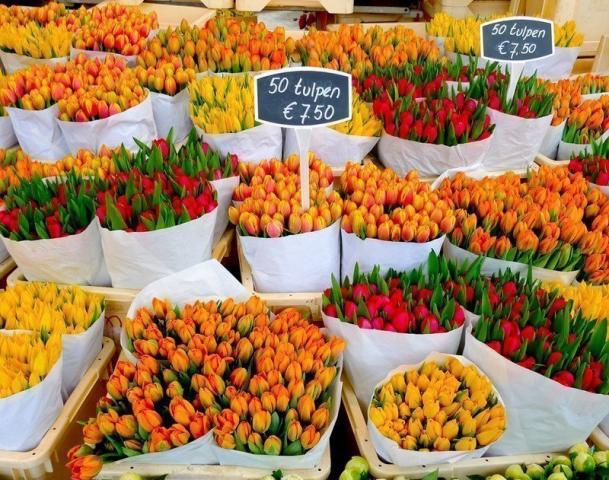 Υπάρχουν αρκετοί λόγοι για να επισκεφθούμε το Άμστερνταμ Υπάρχουν αρκετοί λόγοι για να επισκεφθούμε το Άμστερνταμ