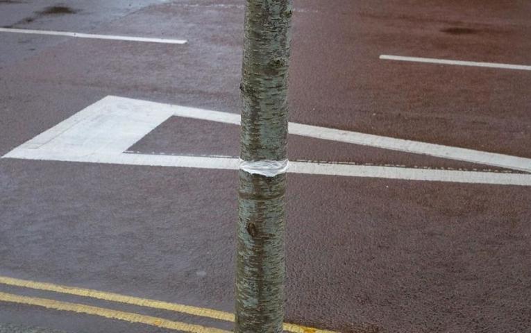 Μόνο αποτέλεσμα συμπτώσεων δεν είναι το συγκεκριμένο project Μόνο αποτέλεσμα συμπτώσεων δεν είναι το συγκεκριμένο project