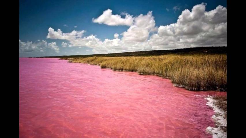 Λατρεύουμε τις ροζ λίμνες που υπάρχουν ανά τον κόσμο, γιατί είμαστε ρομαντικές! Λατρεύουμε τις ροζ λίμνες που υπάρχουν ανά τον κόσμο, γιατί είμαστε ρομαντικές!