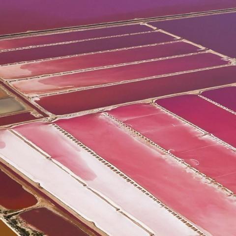 Λατρεύουμε τις ροζ λίμνες που υπάρχουν ανά τον κόσμο, γιατί είμαστε ρομαντικές! Λατρεύουμε τις ροζ λίμνες που υπάρχουν ανά τον κόσμο, γιατί είμαστε ρομαντικές!