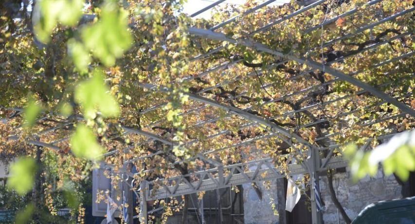 Στην Άλωνα ολοταχώς! Στην Άλωνα ολοταχώς!