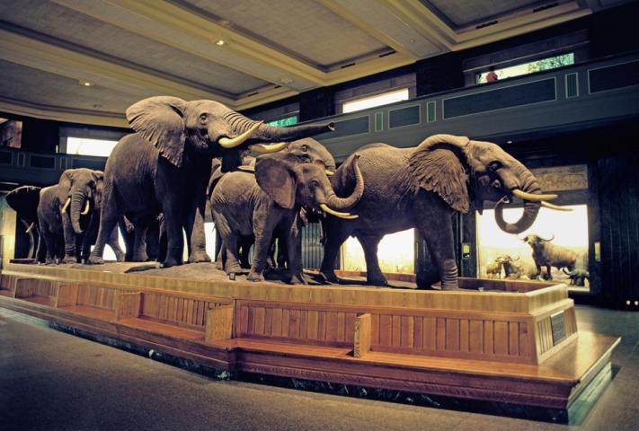 Γιατί η Νέα Υόρκη ήταν και θα είναι ο απόλυτος προορισμός μου Γιατί η Νέα Υόρκη ήταν και θα είναι ο απόλυτος προορισμός μου