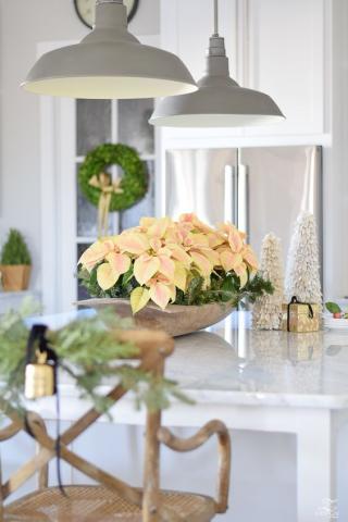 Christmas Deco: Διακόσμησε με το λουλούδι των Χριστουγέννων Christmas Deco: Διακόσμησε με το λουλούδι των Χριστουγέννων