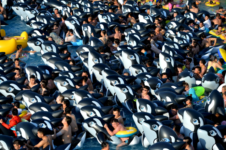 Οι πιο παράξενες φωτογραφίες του 2017: Οι λήψεις που «παίζουν» με το μυαλό μας Οι πιο παράξενες φωτογραφίες του 2017: Οι λήψεις που «παίζουν» με το μυαλό μας