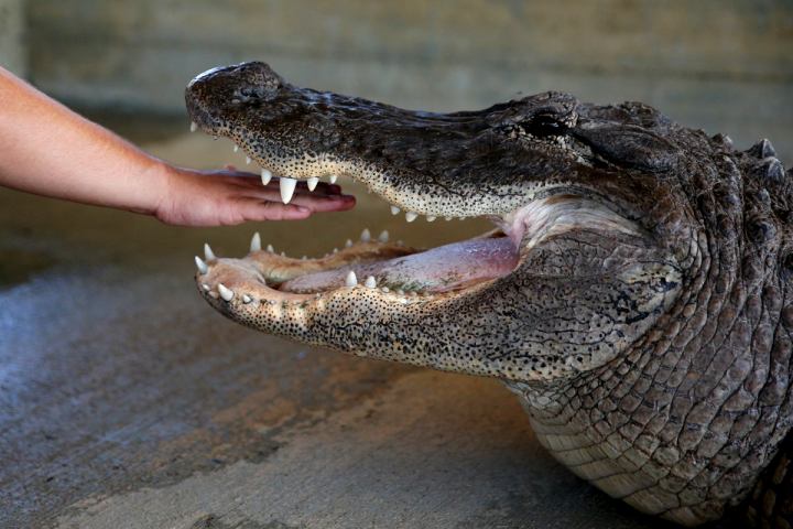 Οι πιο παράξενες φωτογραφίες του 2017: Οι λήψεις που «παίζουν» με το μυαλό μας Οι πιο παράξενες φωτογραφίες του 2017: Οι λήψεις που «παίζουν» με το μυαλό μας