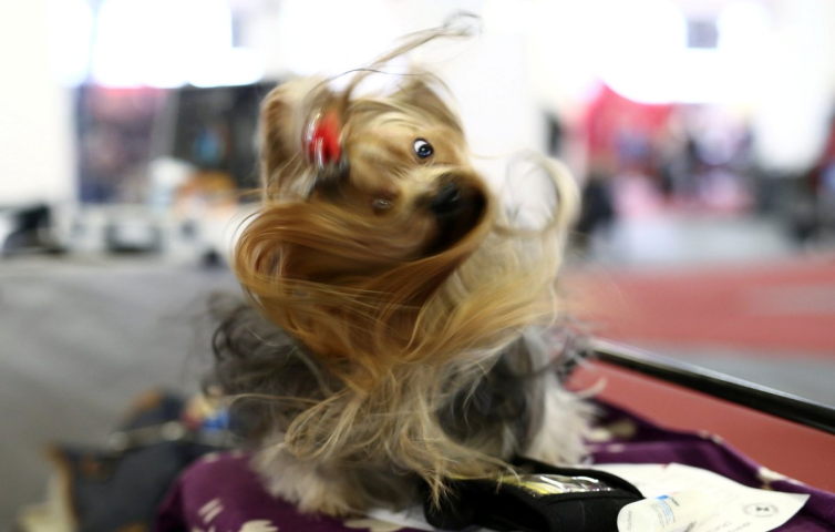 Οι πιο παράξενες φωτογραφίες του 2017: Οι λήψεις που «παίζουν» με το μυαλό μας Οι πιο παράξενες φωτογραφίες του 2017: Οι λήψεις που «παίζουν» με το μυαλό μας