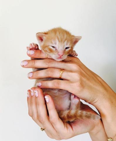 9 αποχρώσεις που θα κάνουν το χειμωνιάτικο μανικιούρ σου πιο ‘’cozy’’ 9 αποχρώσεις που θα κάνουν το χειμωνιάτικο μανικιούρ σου πιο ‘’cozy’’