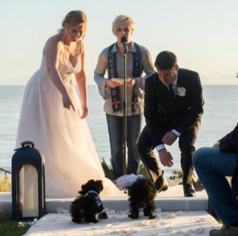 H Amy Schumer παντρεύτηκε τον chef της καρδιάς της