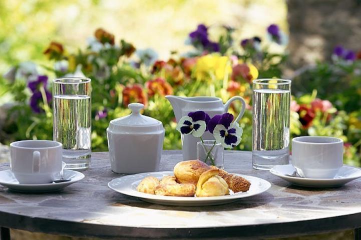 Πήλιο: Εξόρμηση στο βουνό των Κενταύρων