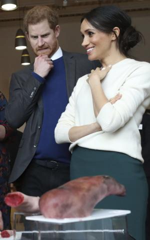 Γιατί ο πρίγκιπας Harry έχει τέτοια έκφραση αηδίας στο πρόσωπο;