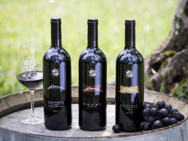 Wine Tourism... Η νέα τάση που κερδίζει συνεχώς έδαφος Wine Tourism... Η νέα τάση που κερδίζει συνεχώς έδαφος