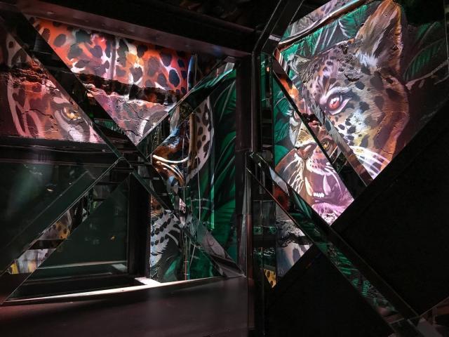 Woo Woo... Το Pan-Asian που έχει γίνει talk of the town Woo Woo... Το Pan-Asian που έχει γίνει talk of the town