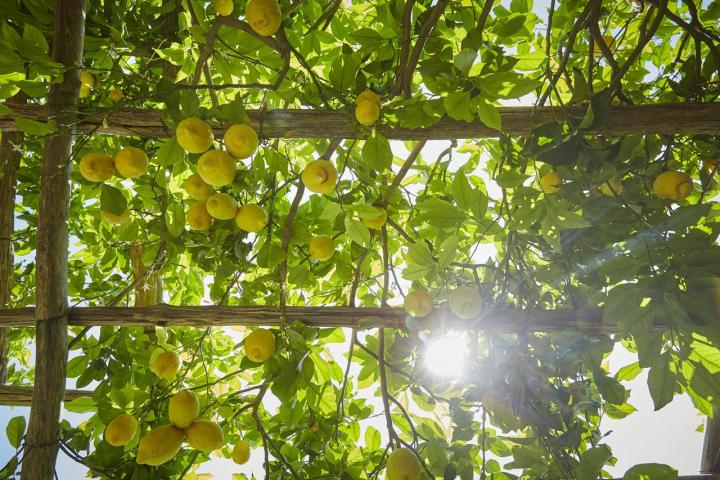 Amalfi Coast: Ο απόλυτος Ιtalian chic προορισμός Amalfi Coast: Ο απόλυτος Ιtalian chic προορισμός