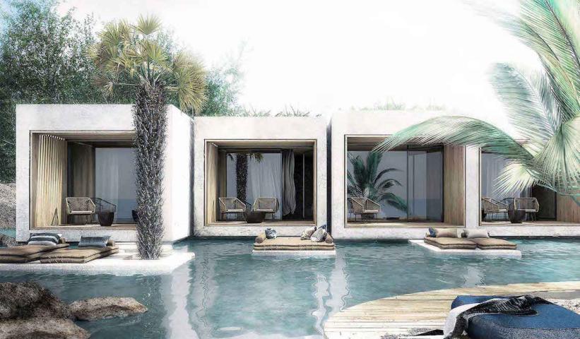 Η νέα άφιξη στη Ζάκυνθο που μας έκανε να πούμε WOW