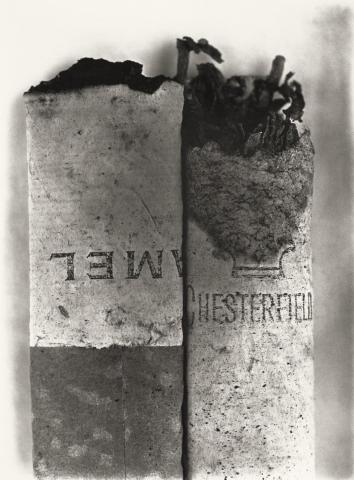 Irving Penn: Η αναδρομική έκθεση του μεγάλου φωτογράφου της Vogue στο MET