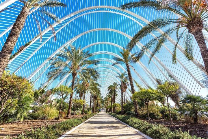 Βαλένθια... μία βόλτα στη γενέτειρα της paella Βαλένθια... μία βόλτα στη γενέτειρα της paella