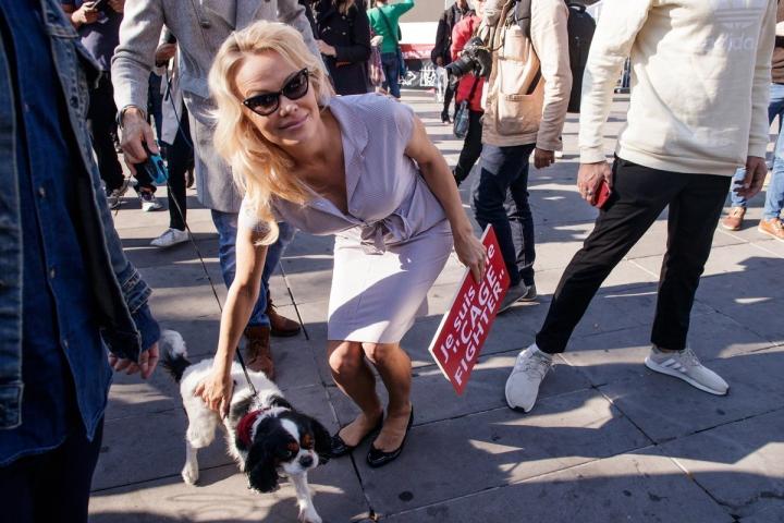 Τι κάνει η Pamela Anderson μέσα στο κλουβί;