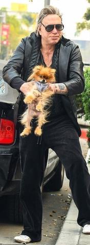 Μίκι Ρουρκ: Κάτι δεν πάει καλά – Έβγαλε βόλτα τον σκύλο του και τον τάιζε με πιρούνι Μίκι Ρουρκ: Κάτι δεν πάει καλά – Έβγαλε βόλτα τον σκύλο του και τον τάιζε με πιρούνι