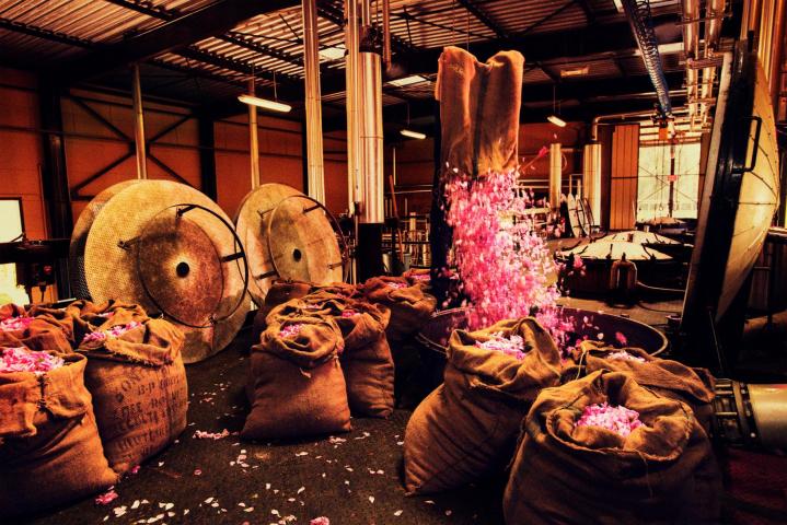 Δείτε το μέρος που βγαίνουν τα λουλούδια στα οποία οφείλουμε το Chanel No5 Δείτε το μέρος που βγαίνουν τα λουλούδια στα οποία οφείλουμε το Chanel No5